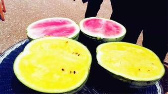 热门大瓜每日必吃大瓜 最新爆料,热门爆料直击明星隐私